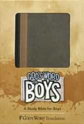 God's Word for Boys