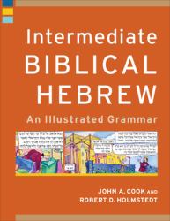 Intermediate Biblical Hebrew : An Illustrated Grammar