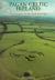 Pagan Celtic Ireland : The Archaeology of the Irish Iron Age