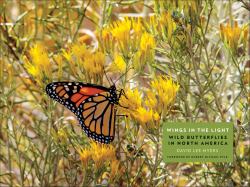 Wings in the Light : Wild Butterflies in North America