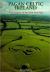 Pagan Celtic Ireland : The Enigma of the Irish Iron Age