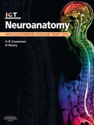 Neuroanatomy