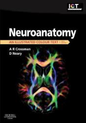 Neuroanatomy