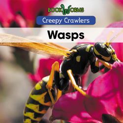 Wasps