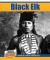 Black Elk