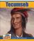 Tecumseh