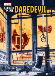 JEPH LOEB and TIM SALE: DAREDEVIL GALLERY EDITION