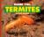 Thank You, Termites