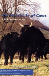 Secret Life of Cows