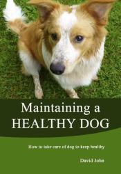 Maintaining a Healthy Dog : How to Take Care of Dog to Keep Healthy