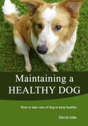 Maintaining a Healthy Dog : How to Take Care of Dog to Keep Healthy