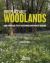 Irreplaceable Woodlands : Some Practical Steps to Restoring Our Wildlife Heritage