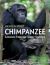 Chimpanzee : Lessons from Our Sister Species