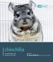 Chinchilla