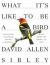 What It's Like to Be a Bird : From Flying to Nesting, Eating to Singing--What Birds Are Doing, and Why