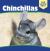 Chinchillas