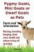 Pygmy Goats As Pets. Pygmy Goats, Mini Goats or Dwarf Goats : Facts and Information. Raising, Breeding, Keeping, Milking, Food, Care, Health and Where