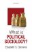 What Is Political Sociology?