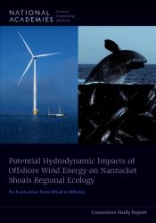 Potential Hydrodynamic Impacts of Offshore Wind Energy on Nantucket Shoals Regional Ecology : An Evaluation from Wind to Whales