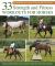 33 Strength and Fitness Workouts for Horses : Practical Conditioning Plans Using Groundwork, Ridden Work, Poles, Hills, and Terrain