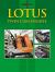 Lotus Twin Cam Engine