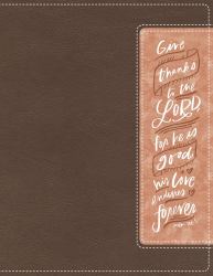 NIV Beautiful Word Bible Red Letter Edition [Brown/Pink]