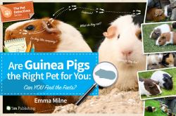 Are Guinea Pigs the Right Pet for You : Can YOU Find the Facts?