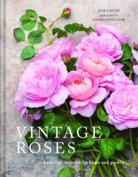 Vintage Roses : Beautiful Varieties for Home and Garden