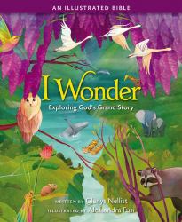 I Wonder : Exploring God's Grand Story: an Illustrated Bible