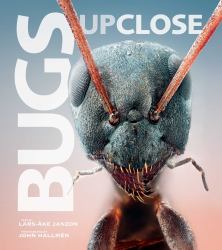 Bugs up Close : A Magnified Look at the Incredible World of Insects