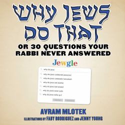 Why Jews Do That : Or 30 Questions Your Rabbi Never Answered