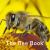 The Nature Book Series: the Bee Book