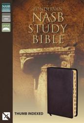 NASB Zondervan Study Bible