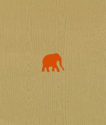 The Wood That Doesn't Look Like an Elephant