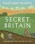 Secret Britain : Unearthing Our Mysterious Past