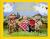 Nudinits : A Very British Bush: Fun and Games in Woolly Bush