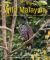 Wild Malaysia : The Wildlife, Scenery, and Biodiversity of Peninsular Malaysia, Sabah, and Sarawak