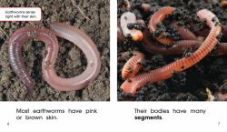 Wiggling Earthworms