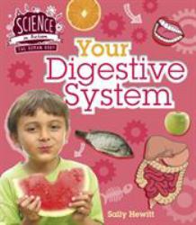 Human Body: Your Digestive System