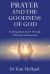 Prayer and the Goodness of God : Learning about Prayer Through Christians in Discussion