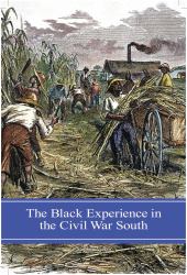 Black Experience in the Civil War South, The