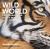 Wild World : Photographing Iconic Wildlife