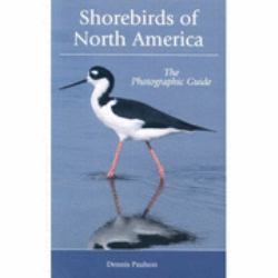 Shorebirds of North America