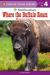 Where the Buffalo Roam : Bison in America