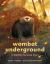 Wombat Underground : A Wildfire Survival Story