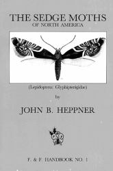 Sedge Moths of North America, The (Lepidoptera : Glyphipterigidae)