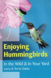 Enjoying Hummingbirds : In the Wild & In Your Yard