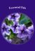 Essential Oils : Discover the Benefits and How to Use Essential Oils for Everyday Situations - Access a Variety of Useful Essential Oils for Pain Relief, Esthetic Uses, and More