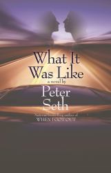 What It Was Like : A Novel of Love and Consequence