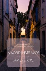 A World I Never Made : A Novel of Suspense